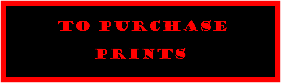 Text Box:  to purchase prints